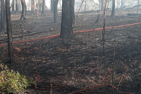 Incendie à Saint-Louis, au Mont-Dore, le jeudi 21 novembre 2024