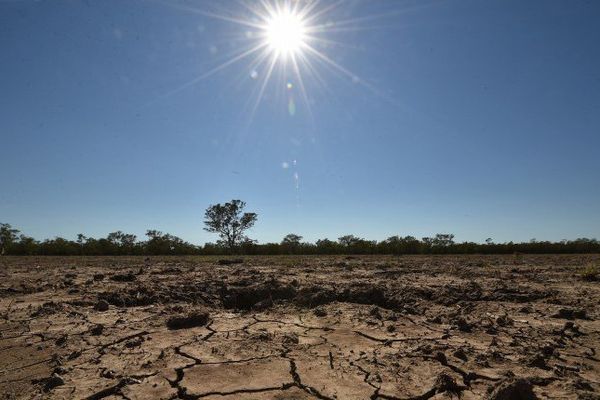 Sécheresse en Australie