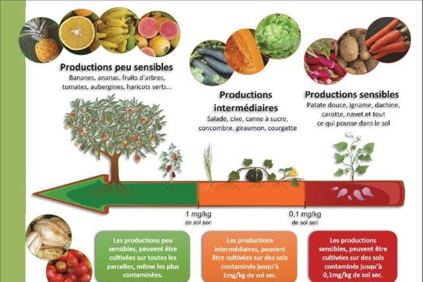 chlordécone : conséquences sur les sols 1