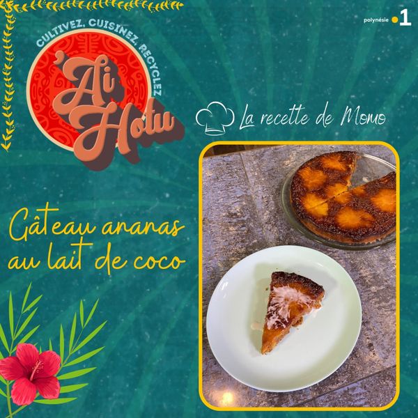 Ai Hotu 21 Gateau Ananas Au Lait De Coco Le Corrosol Dans Votre Potage