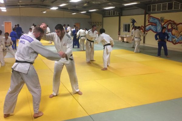 Entraînement de judo 