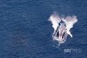 2024, troisième meilleure saison des baleines à La Réunion