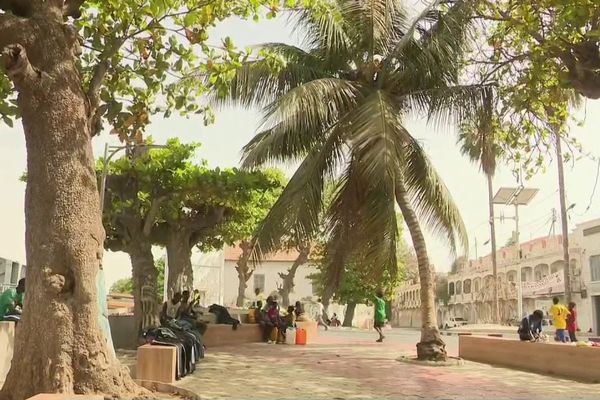 Les Antilles ont laissé leurs empreintes sur la ville de Saint-Louis-du-Sénégal.